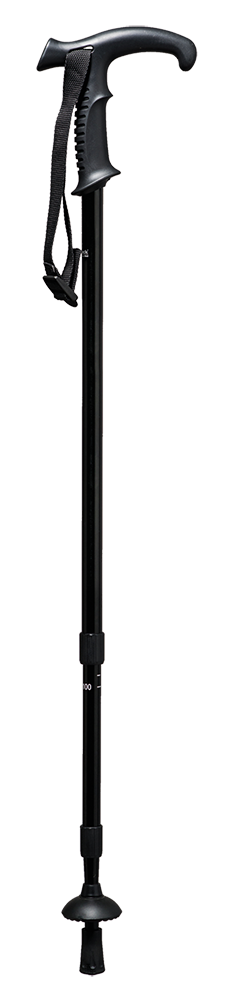 Bastone pieghevole argento