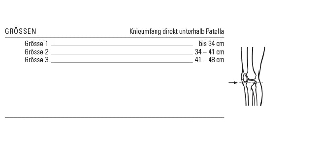 Patella tendon ligament